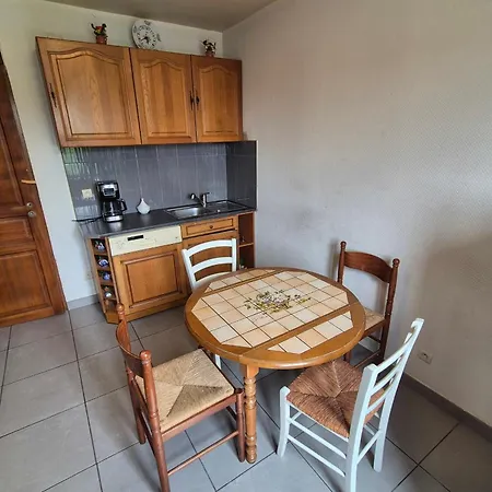 Appartement Spacious With Garden In *