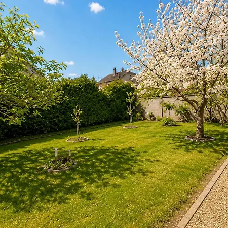 Spacious With Garden In Appartement *